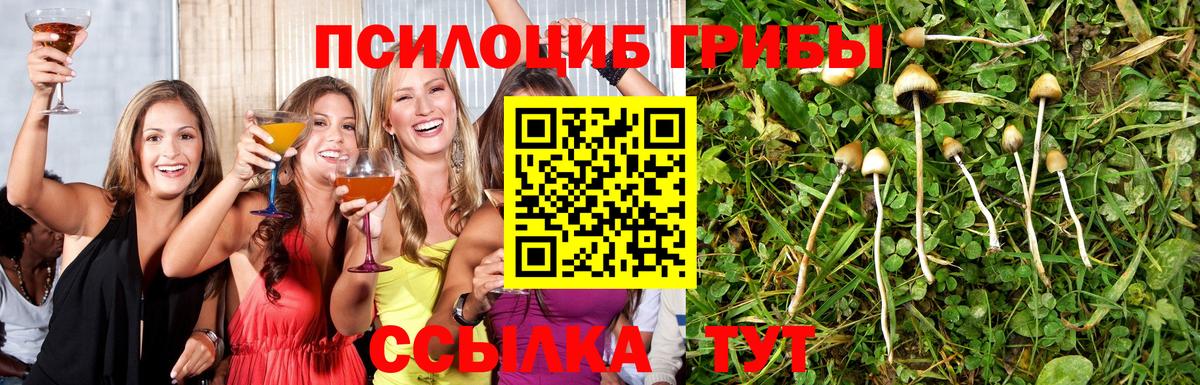 Красноармейск  Псилоцибиновые грибы мухоморы  Вход с VPN  Псилоцибиновые грибы Magic Shrooms 